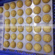 OEM Bulk Packing Frozen Roasted Octopus Ball thumbnail-3