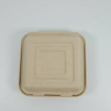 Disposable Lunch Box Salad Box Burger Box thumbnail-4