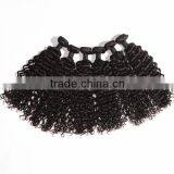 The Best mongolian hair companies buy 8-30inch weaves virgin human hair real human deep curly hair                        
                                                Quality Choice