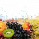 Reefer Container Shipping Container Homes for Sale thumbnail-1