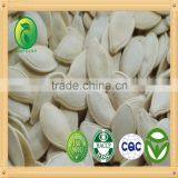 Pumpkin Seeds Fresh Cherry Price Chinese Vegetable Seeds thumbnail-1