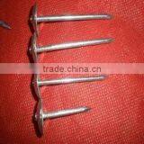 65mm Galvanized Roofing Nails With Umbrella Head thumbnail-2