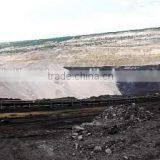 Conveyor Belt for Continuous Ship Unloaders and Shiploading of Bulk Materials thumbnail-4