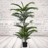 Artificial Decorative Acera Palm thumbnail-3