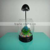 Mini Aquarium Round Fish Tank thumbnail-3