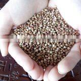 New Crop Chinese Roasted Buckwheat Kernel Brown Color Small Packing thumbnail-2