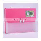 A4/FC Advantage Product Expanding File, pp File Folder With 13pockets,high Quality Office Statonery thumbnail-3