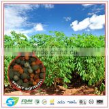NPK complete for plant growth formula 12-3-8 organic matter 10%