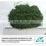 Dried Green Laver/Green Seaweed for Sale