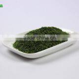 Dried Parsley Leaf 1-3mm thumbnail-2