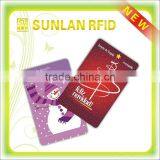 ISO Printing E-web VIP Card for Promotion thumbnail-1