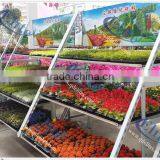 24 Nursery Plant Danish Flower Trolley TC4622, Garden Flower Trolley, Danish Flower Trolley Cart DC for Sale thumbnail-1