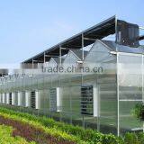 Hot-Dip Galvanized Steel Pipe High Glass Greenhouse For Hydroponic Planting thumbnail-4