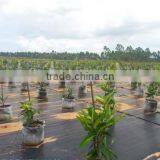 Tree Weed Mat Fabric thumbnail-1