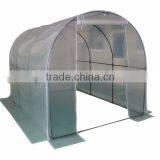 Green House thumbnail-1