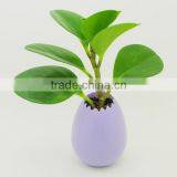Office Desk Flower Pots,plastic Decorative Flower Pots,plastic Flower Pots From China thumbnail-6