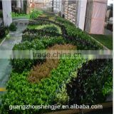 SJLJ013642 factory price artificial green wall for wall decoration
