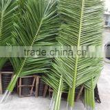 SJ07011102 Wholesale Tree Leave Outdoor/High Initation Plam Tree Leave/decorative Palm Leaves thumbnail-3