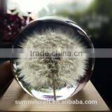 Custom Real Dandelion Paperweight Gift thumbnail-2