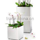 Arlau Extra Large Planters for Live Trees thumbnail-4