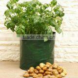 Garden Tomato Planter Bags thumbnail-2
