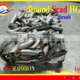 FROZEN ROUND SCAD HGT thumbnail-1