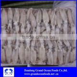 seafood Baby Squid price