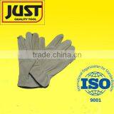 Pig Grain Leather Drive Glove thumbnail-1