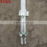 Q345 Steel Cuplock Scaffolding Standard With Forged Top Cup thumbnail-3