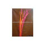 Natural Dried Long Palm Leaves thumbnail-1