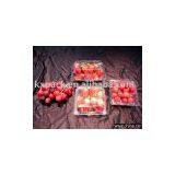 Plastic Clamshells thumbnail-1