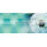 Custom Printing Eco Friendly PVC Yoga Mat thumbnail-5