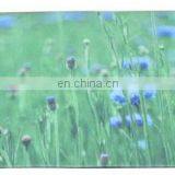 Eco Friendly PVC Yoga Mat thumbnail-7