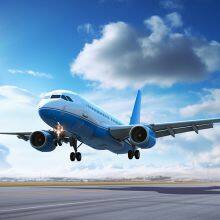 End-to-End Cargo Services: Expert Customs Clearance for Global Trade thumbnail-4