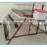 design chicken layer cages for uganda poultry farm