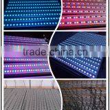 LED Christmas Dmx Rgb 108w 36*3w Led Wall Wash Light thumbnail-6