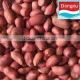 Red Skin Peanuts 50 60