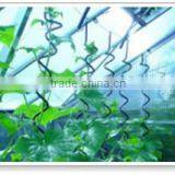 Metal Powder Coated Tomato Spiral Plant Support thumbnail-1