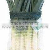 RASCHEL BAGS WITH TAG