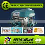 Fully Automatic Egg Tray Machine Prodution Line 4000pcs/h