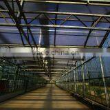 Large Span Glass Multi-span Greenhouse thumbnail-4