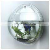 Wholesale Acrylic Fish Farming Tanks for Sale thumbnail-1
