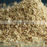 HIGH QUALITY- BEST PRICE- VIETNAM CORN COB FOR MUSHROOM CULTIVATION