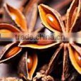 star aniseed for sales