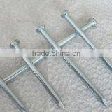 Galvanized Roofing Nail With Umbrella Head From DINGZHOU BEST HARDWARE CO.,LTD thumbnail-3