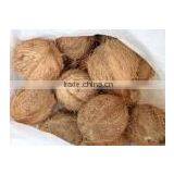 Coconutst From Orisa thumbnail-1