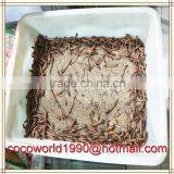 Wholesale Dried Mealworm Birds Factories thumbnail-6