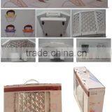 Zhengjia CE Approval Effective Pdt Led/led Pdt Bio-light Therapy thumbnail-6