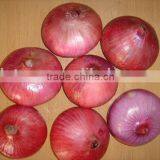 2015 Crop Fresh Red Onion for Sale With Cheap Price From China thumbnail-6
