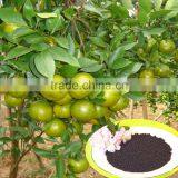 Crops and Plants Conbined NPK With TE Names Microbial Fertilizer thumbnail-5